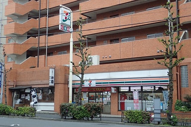 ev06.jpg