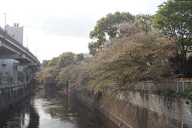 江戸川橋の写真1